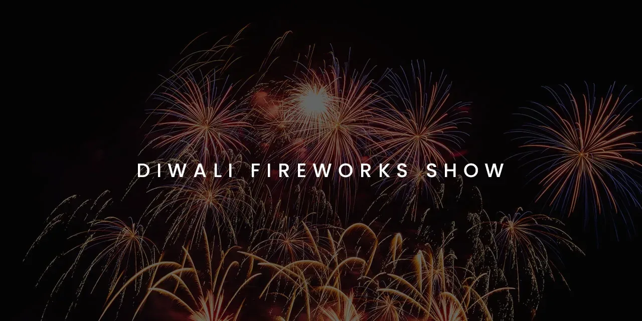 Diwali Fireworks Show (Nov 2025)