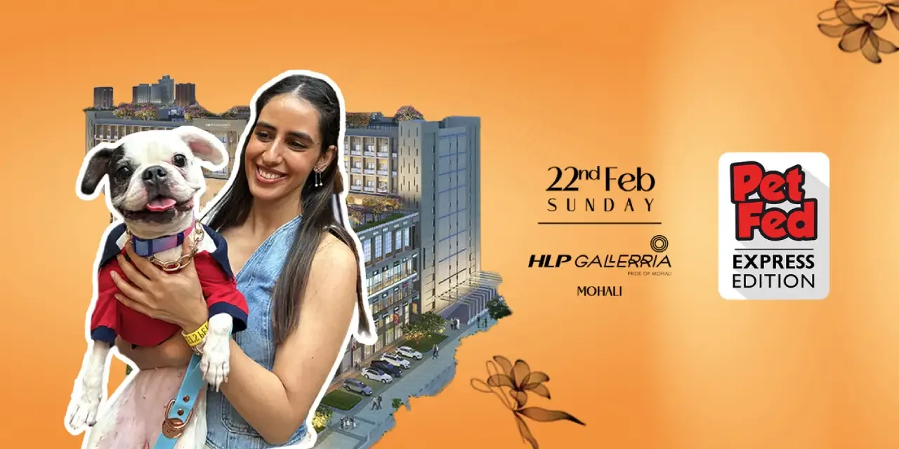 Pet Fed (22nd Feb 2026)